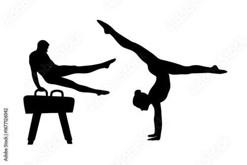 Men and women professional gymnasts.