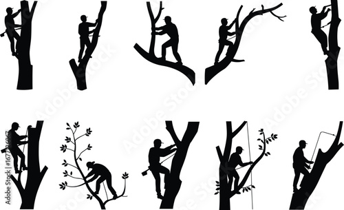 Tree trimming worker silhouettes, arborist climbing trees, tree cutting job, professional tree service, pruning trees, black and white vector illustration