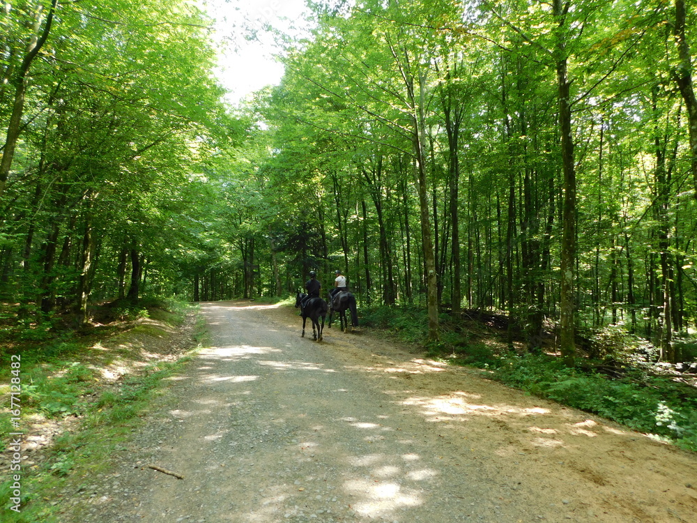 Fototapeta premium girls on horseback