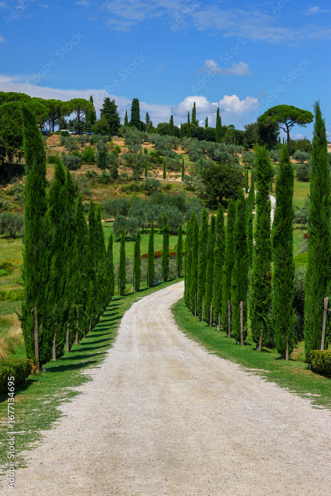 Fototapeta premium Scenes of Tuscany 2025