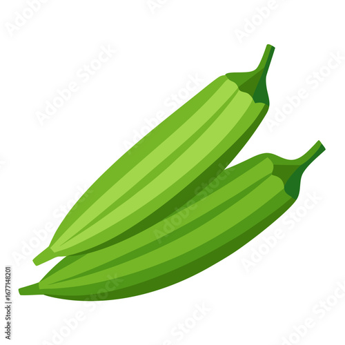 vector illustration of a fresh green vegetable