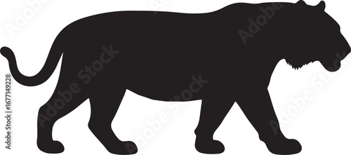  Tiger in silhouette white background.