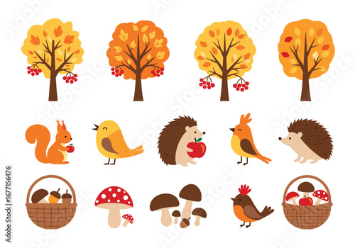 Charming autumn wildlife collection with woodland creatures and seasonal flora