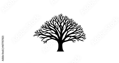 Black and White Silhouette of a Bare Tree Against a White Background