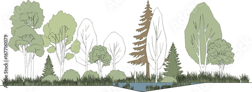 Isolated a Architectural Drawings, Minimal style cad tree line drawing, Side view, set of section wetland forest outline for landscape design drawing in separate element vector art .
