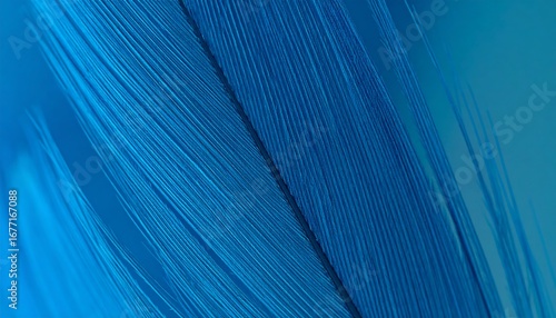 Close-up vibrant blue feather