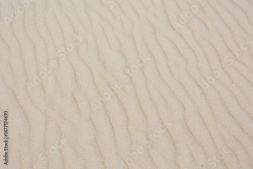 Selective focus of very fine sand beach in the summer under the sun, Beautiful structure curve on the sand texture, Nature ripple pattern, Abstract background.