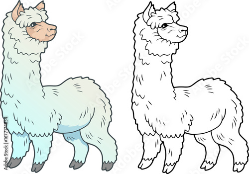 alpaca coloring book for children