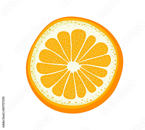 orange slices isolated texture background png