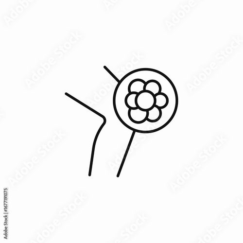 pollen in the knee icon sign vector