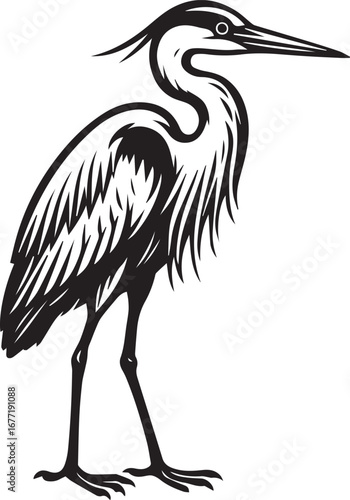 heron vector in black and white