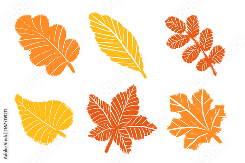 Vector tor set of hand drawn autumn leaves in yellow and orange color isolated on transparent background. Crayon drawing leaf pattern on isolated background for kid education or fall autumn concept