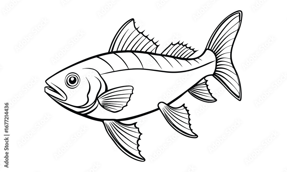 Fototapeta premium Haddock fish Kids vector line art and silhouette t shirt design, elegant detailed illustration, perfect for printable coloring pages, art therapy relaxation and stress relief activities.