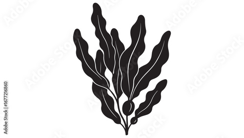 Stylized Black Seaweed Plant Silhouette on White Background