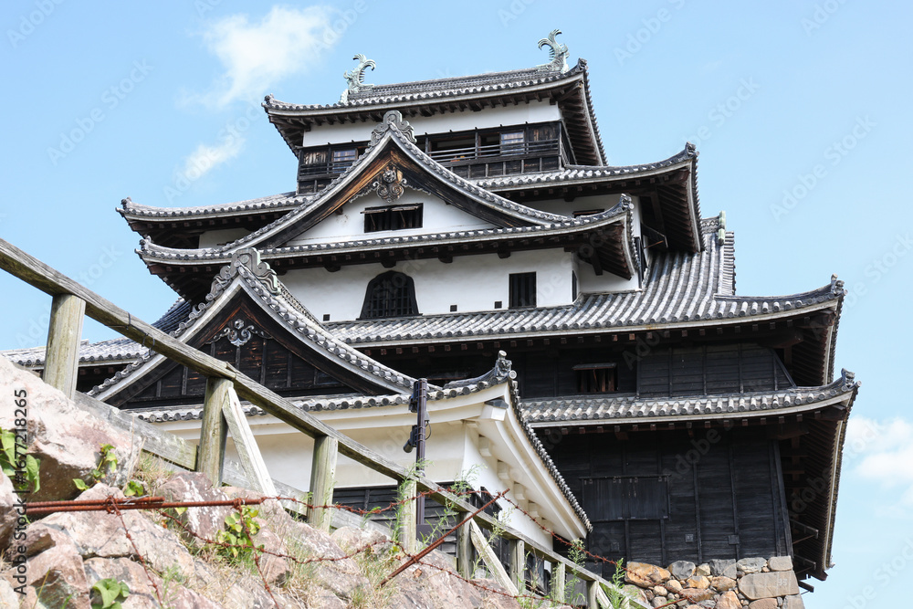 Obraz premium 松江城の風景