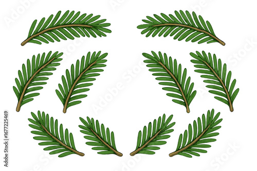 Set of evergreen pine branches for Christmas decoration. Winter holiday frame or wreath element. Symmetrical fir twig illustration. Vector cartoon nature botanical clipart.