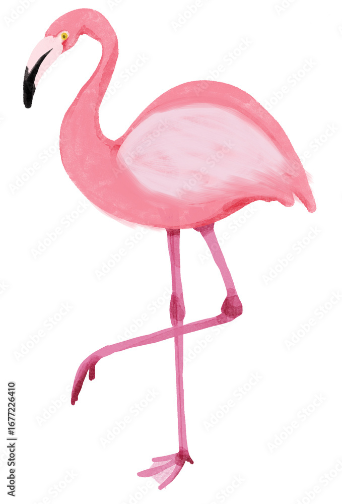 Obraz premium pink flamingo 