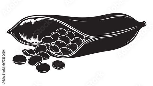 Vector Illustration of an Open Bean Pod with Seeds Spilling Out