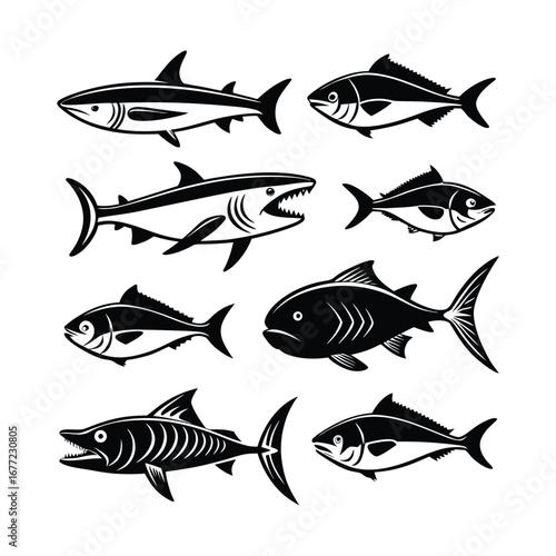 Collection of diverse fish species rendered in a vintage woodcut style perfect for nautical themes
