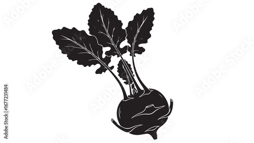 Black and White Silhouette Illustration of a Fresh Kohlrabi Vegetable with Leaves