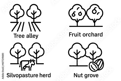 Agroforestry outline icons. Vector set with tree alley, fruit orchard, silvopasture herd, nut grove. For sustainable agriculture, farming, ecology, permaculture systems.