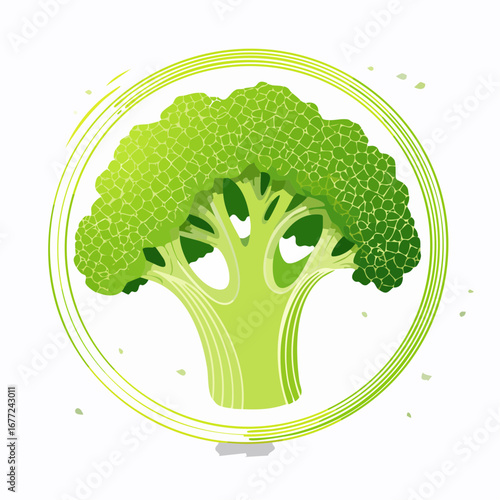 Vibrant Green Broccoli Illustration on White Background
