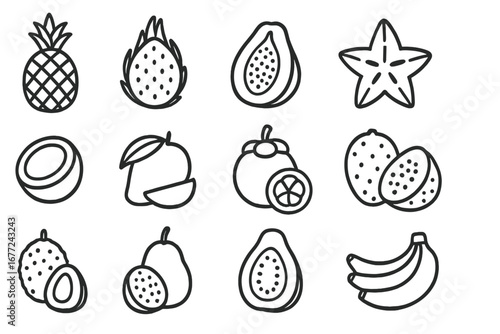 Exotic fruit outline icon set. Tropical fruits linear symbols collection. Vector food graphics. Pineapple, papaya, dragon fruit, mango, coconut. Fresh healthy diet elements.