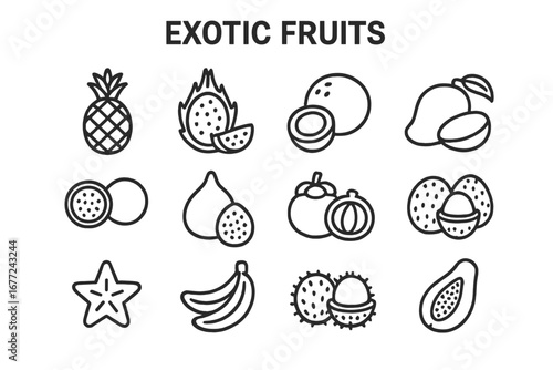 Exotic fruits outline icon set. Tropical fruit collection in linear style. Vector icons of pineapple, dragon fruit, mango, coconut, papaya for healthy food design concepts.
