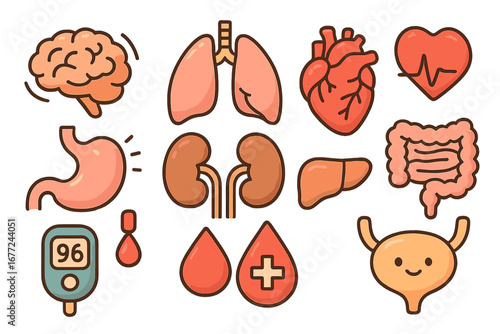 Medical icon set of human organs in cute cartoon style. Vector illustration of brain, lungs, heart, stomach, kidneys, liver, intestine. Health care and anatomy concept.