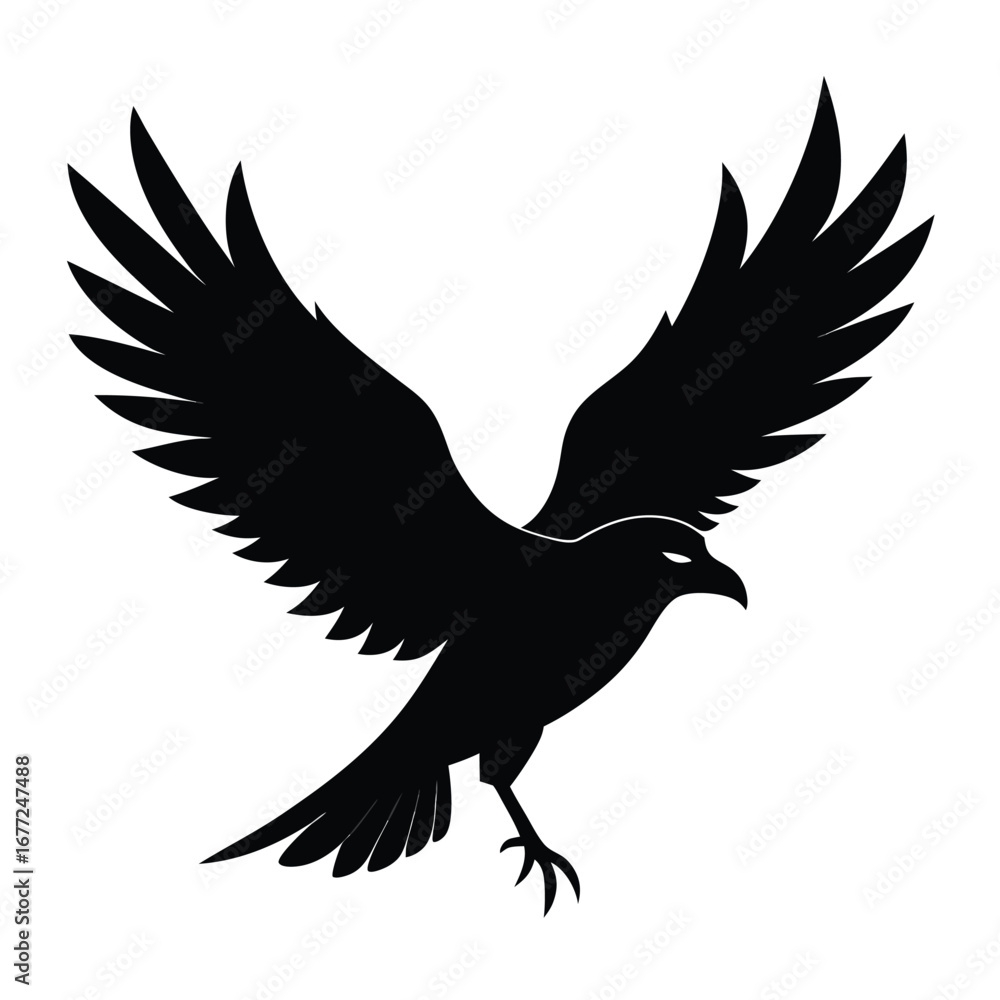 Obraz premium Black Silhouette of a Bird of Prey with Wings Open spread