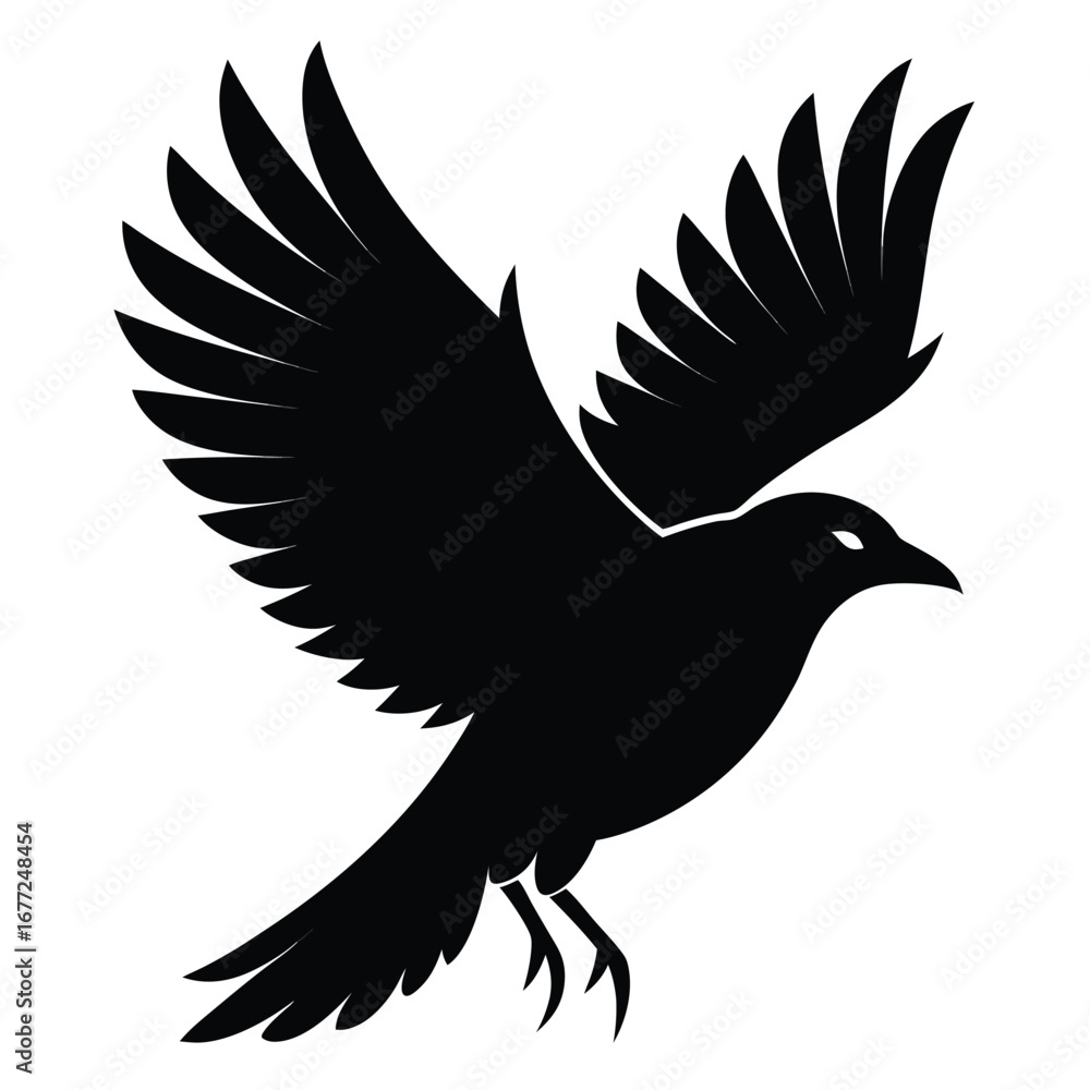 Fototapeta premium Black silhouette of a bird with wings spread in flight on a white background flying