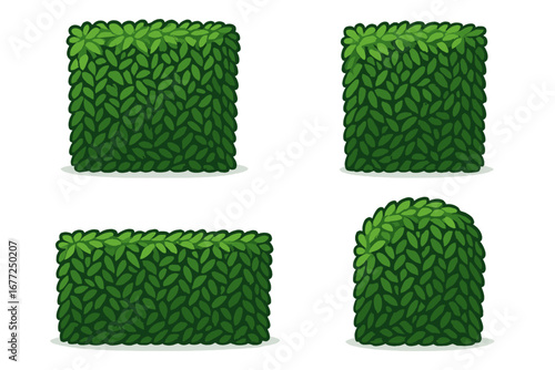 Set of lush green hedge and bush elements for landscape design. Cartoon vector illustration of garden shrubs, privacy fence panels, and foliage for parks or outdoor spaces.