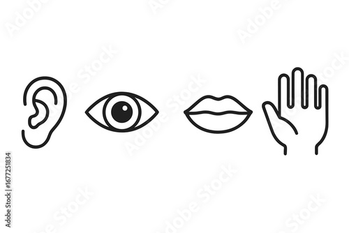 Four human senses icon set. Sensory organs for perception: hearing, sight, taste, touch. Ear, eye, mouth, and hand symbols. Minimalist outline vector illustration.
