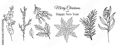Christmas plants hand drawn black and white vector illustration set with poinsettia, holly, mistletoe, fir, eucalyptus. Natural line art perfect for greeting card, poster, coloring book design