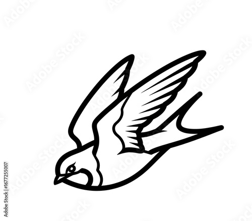 Swallow Bird Line Art