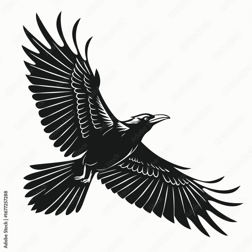 Fototapeta premium Black silhouette of a raven in flight with wings spread wide crow bird