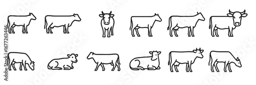 Set of cow icons in different poses