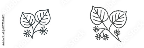 Outline of linden leaves and flowers