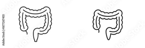 Colon and Intestine Outline Icon