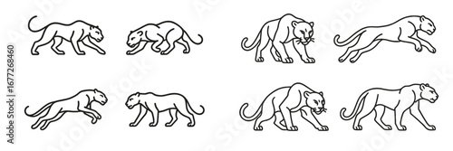 Panther Line Art Collection