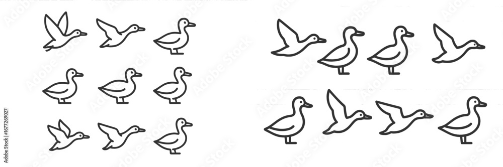 Obraz premium Duck icons in different poses