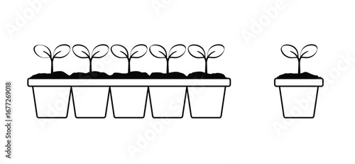 Flowers, plants growing tray. Cartoon growing seedling. Seedlings in a box. Propagate by cuttings. Saplings. Young seedling in ground and sprouts of plant. Vegetable seedlings growing at soil in pot. 