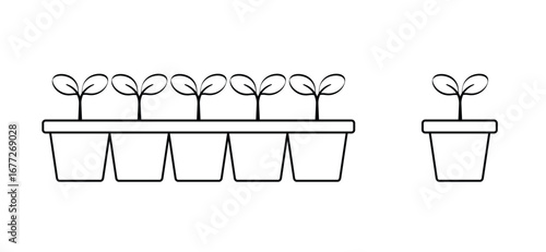Flowers, plants growing tray. Cartoon growing seedling. Seedlings in a box. Propagate by cuttings. Saplings. Young seedling in ground and sprouts of plant. Vegetable seedlings growing at soil in pot. 