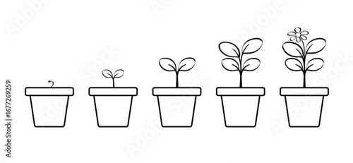 Flowers, plants growing tray. Cartoon growing seedling. Seedlings in a box. Propagate by cuttings. Saplings. Young seedling in ground and sprouts of plant. Vegetable seedlings growing at soil in pot. 