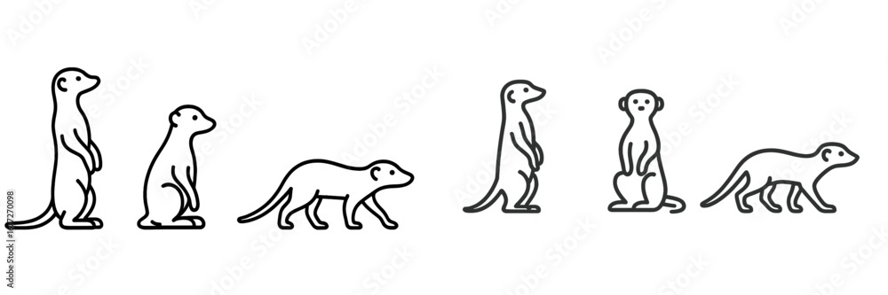 Fototapeta premium Meerkat poses and movements