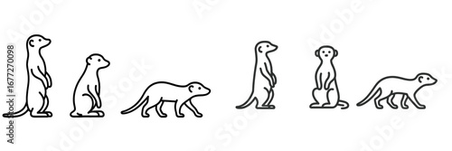 Meerkat poses and movements
