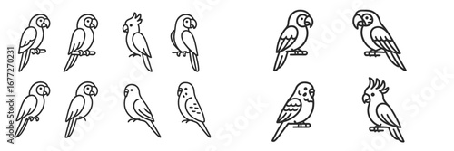 Collection of Parrot Line Art Icons