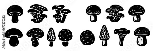 Collection of various mushroom illustrations on black background