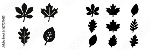 Collection of Autumn Leaf Silhouettes