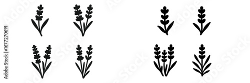 Simple of lavender sprigs on a black background
